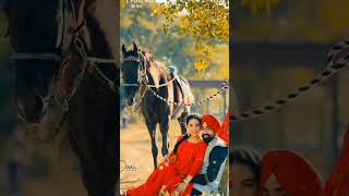 Raniya de wangu |🤗💖💝💞💕❤#punjabisong #couplegoals #trending #shortsvideo #viral