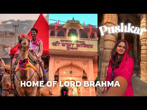 BRAHMA TEMPLE PUSHKAR🙏🏻😍 | PUSHKAR VLOG #rajasthan #pushkar #ajmer