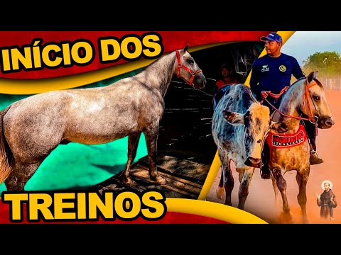 Levando nosso cavalo Para os treinos de Vaquejada