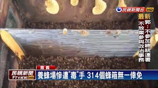 養蜂場遭毒手全死光 滿地遺骸蜂農心碎－民視新聞