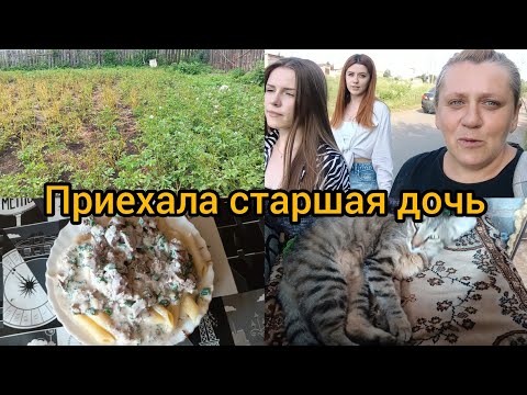 Приехала старшая дочь/ Вкусная подлива/ Ресницы,страшная сила 😁Леха привез кота из далека 😂