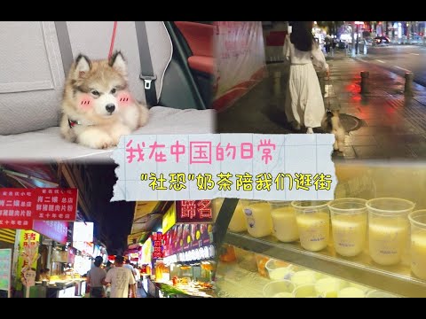 "社恐"奶茶陪我们逛街🐶 - [ 我在🇨🇳的日常 ]