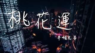 桃花運 - 半噸兄弟『我會擁你在我懷抱 看著你的笑』 高音质 【動態歌詞Lyrics】抖音热曲