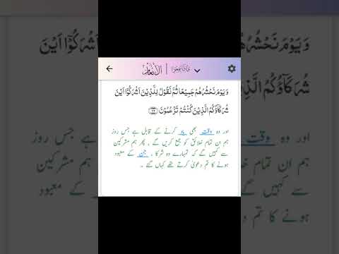 Surah Al Anam #qurantranslation #qurantilawat #quranverses #shortsfeed #ytshorts