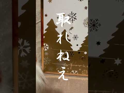 アドベントカレンダー開封動画に憧れた結果が酷かった... #クリスマス  #アドベントカレンダー