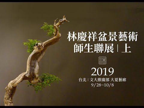 千年神木之作∣2019林慶祥盆景藝術師生聯展∣上篇∣請點選字幕  Bonsai Exhibition