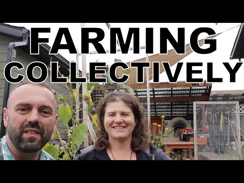 Food Security by Farming Collectively With Permaculture