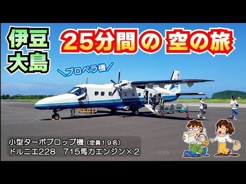 【伊豆大島へ！たった25分の空の旅】調布飛行場から小さなプロペラ飛行機で飛んでみたい計画 ≪ドルニエ228 Dornier 搭乗記≫