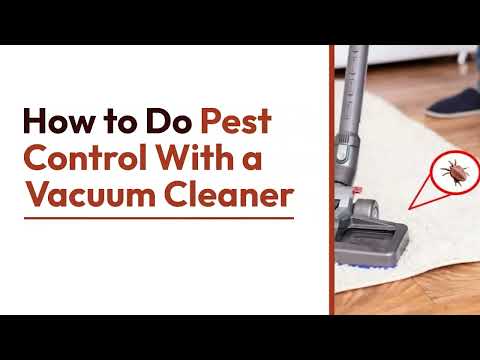 How to Do Pest Control With a Vacuum Cleaner | The Guardians Choice