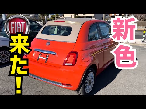 FIAT 500C 2023年モデルきた！仕様変更と新色紹介！