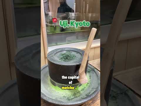 Inside a matcha factory in Kyoto~ 🍵