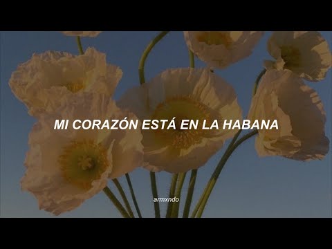 Camila Cabello — Havana (feat. Young Thug) [Sub. Español]