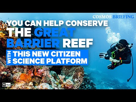 Help conserve the Great Barrier Reef with this new citizen science platform | Cosmos Briefing