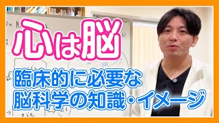 心は脳、と考える。臨床的に必要な脳科学の知識ないしイメージ