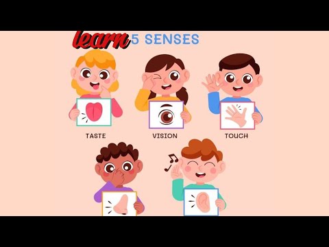 Five senses|| learn 5 senses with fun// 5 senses Nursary Rhymes|Educational video