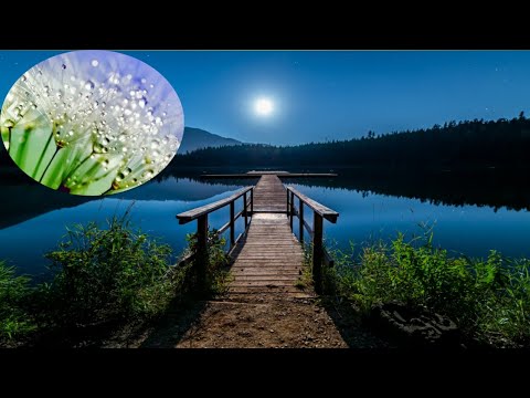 31 Minute Deep Sleep Music: Calming Music, Relaxing Music, Soothing Music, Calming Music, nature