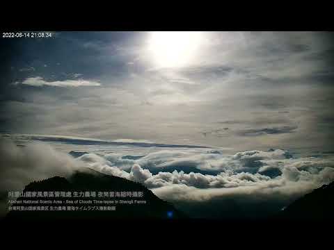 阿里山即時影像-生力農場-夜間雲海-縮時 | Shengli Farm Cloud of Sea Timelapse in Alishan, Taiwan 2022-06-14