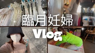 【臨月】里帰り妊婦のVlog/高齢妊婦/シングルマザー