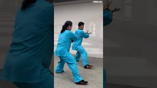 郑老师太极新架 Chen style Tai Chi new Frame with teacher