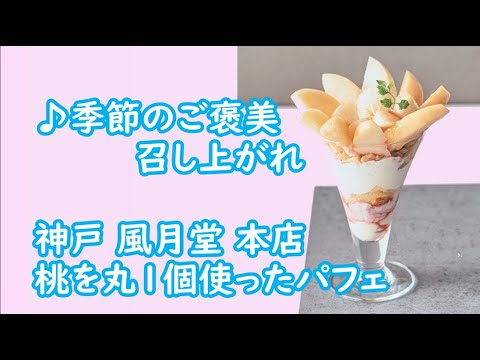 【白桃パフェ】桃を丸1個使ったパフェは本店限定メニュー　White Peach Parfait　The parfait using one whole peach is a limited menu