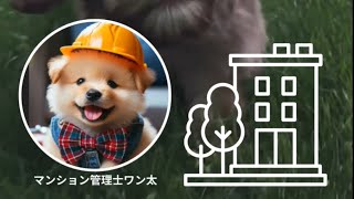 【初心者歓迎】マンション管理士ワン太と一緒に楽しく学ぼう！🐶🏡マンション管理って難しそう…😥 そんなあなたも大丈夫！ マンション管理士のワン太🐶がわかりやすく楽しく解説します✨