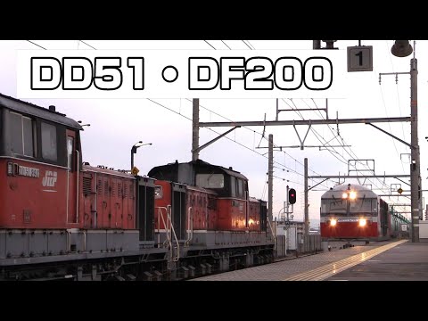 関西本線 DD51・DF200 石油貨物離合シーン