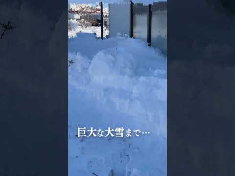 【長尺で大反響】家の中に雪を捨ててくる雪捨て犯。北海道鶴居村 Japanese country life Hokkaido 貧困女子りんの田舎暮らし #shorts