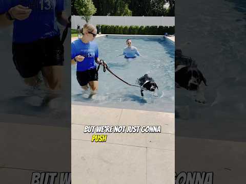 Cute Dog Learning NOT to DROWN!  #dogsafety #dogtraining