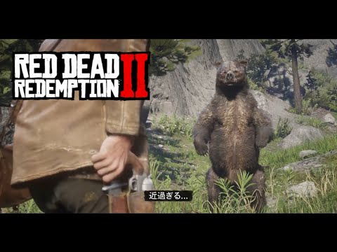 RDR2 チャプター2-6傷ついた自尊心に追われ【見るゲームシリーズ1】