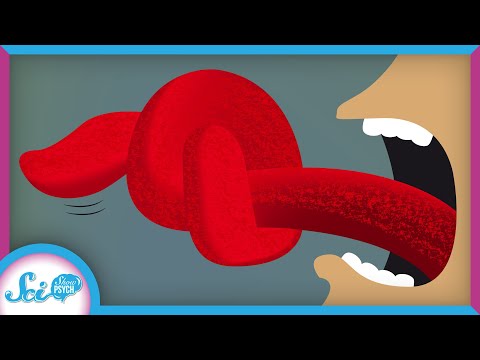 The Neuroscience of Tongue Twisters