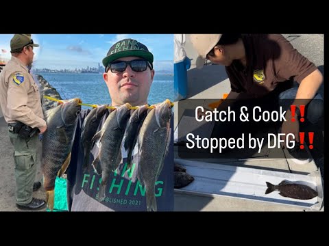 Winter Fishing! Stopped by DFG at Alameda Rock Wall! #california #bayarea #fishing #perch #video