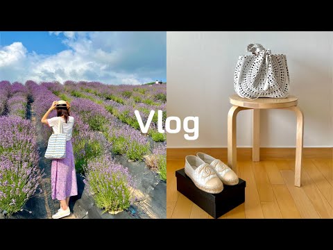 SUB) Weekend vlog | Lavender Festival | A day of Surprises in Seongsu-dong  | Vegan Restaurant