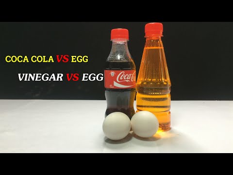 Coca Cola Vs Egg Vinegar - Awesome Egg Fun Life Hacks and tricks