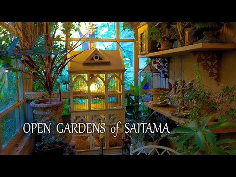 【Private Residence】 OPEN GARDENS of SAITAMA in the in the Autumn. 埼玉、秋の個人宅へ訪問 #ハーバルハウス #オープンガーデン