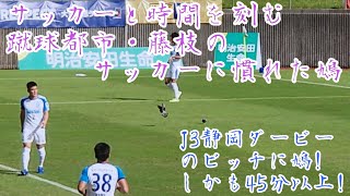 Jリーグの試合中、ピッチに居続けた蹴球都市の鳩【J3静岡ダービー】