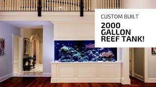 Custom 2000 Gallon Reef Aquarium!