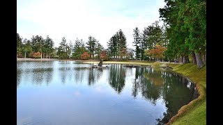 日本 平泉 中尊寺 & 毛越寺  Chusonji Temple & Motsuji Temple,  Hiraizumi, Japan