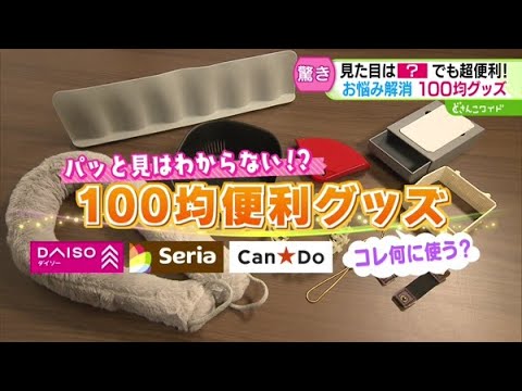 パッと見はわからない！？コレ何に使う？100均便利グッズ【どさんこワイド179】2024.11.26放送