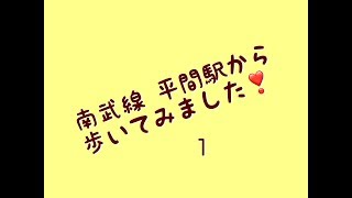 南武線 平間駅から岡野教室まで歩いてみました