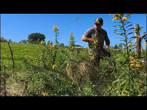 ATV ride through the homestead with my 2 year old.  Deer sighting and  opening up some fences.