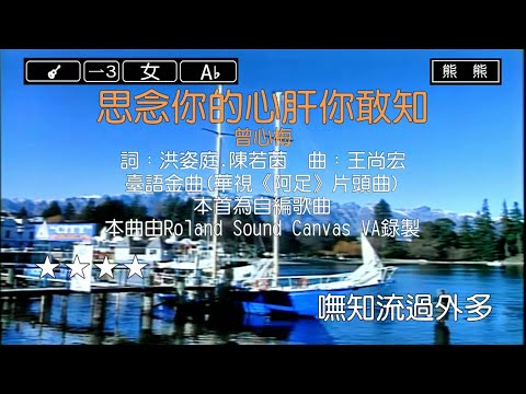 思念你的心肝你敢知-曾心梅(Karaoke伴奏)