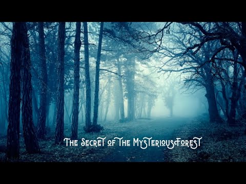 The Secret of the Mysterious Forest: An Audio Story / #bedtimestories #sleep