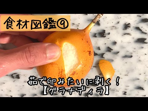 【食材図鑑】９.不思議なフルーツ！グラナディラ/グラナディージャ /Granadilla #shorts