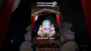 CUTEST GANPATI of CHHATTISGARH #raipur #raipurians  #cg #marathi #ganpati #ganesha #ganeshvisarjan