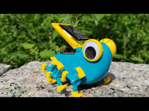 【試玩】 太陽能DIY大眼蟲 Stem Toys - DIY_Solar_Insect