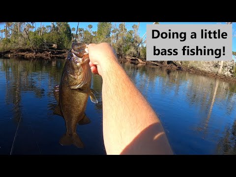 Doing a little bass fishing! Gator tail extreme and GTR40XD