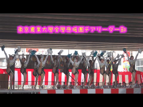 👯大興奮❗️凄すぎる❗️❗️❗️可愛い〜い🤪大学生チアガールズ達🎊経堂まつり🚉 駅前広場ステージ👩‍🎓チアリーディングはスタンツ組体操やタンブリング体操の床運動のようなアクロバティックな技が中心です🔥