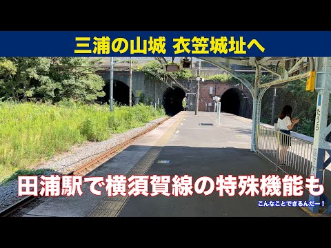 JR田浦駅で珍しいものを見てから、三浦の山城 衣笠城址に行ってみた 【三浦一族】