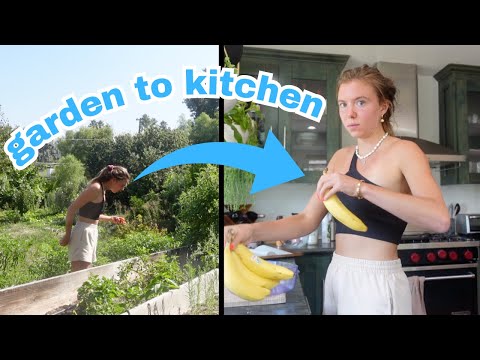 garden to table what i eat in a day (vegan & gluten free)