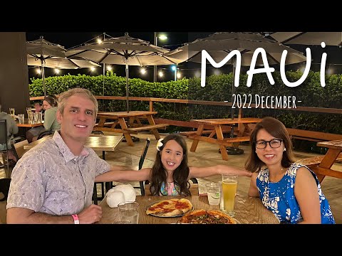 MAUI Vlog Part 8 - 2022 December - Going back to Japan  (#203)